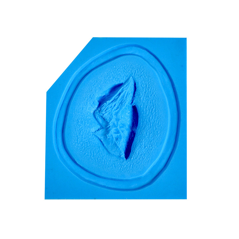 P.T.M - Silicone Mold - Avulsion MEDIUM P.T.M - Silicone Mold - Avulsion MEDIUM