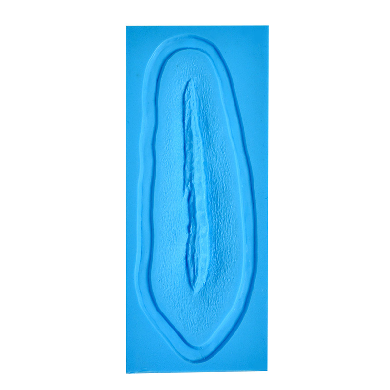 P.T.M - Silicone Mold - Laceration 6" P.T.M - Silicone Mold - Laceration 6"