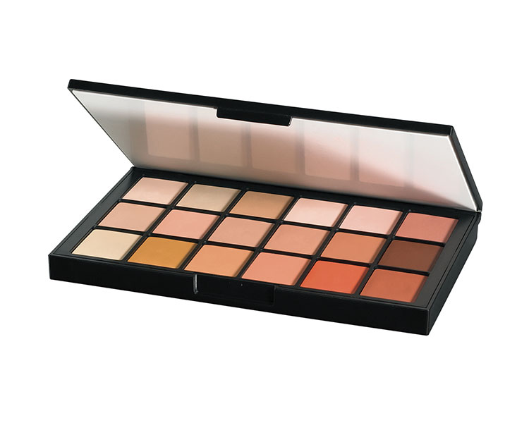 BNye HDAP1 MediaPro Concealer & Adj. 18er Palette
