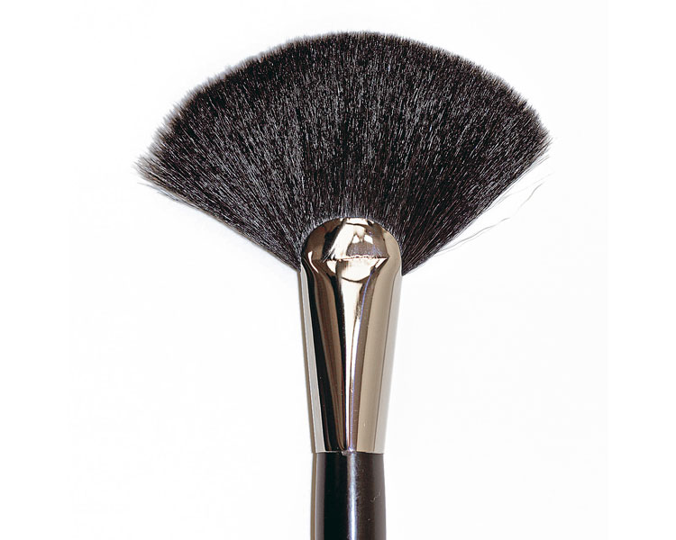 bl-691057fcbe5366096 6910 Fächer Pinsel Gr. 22