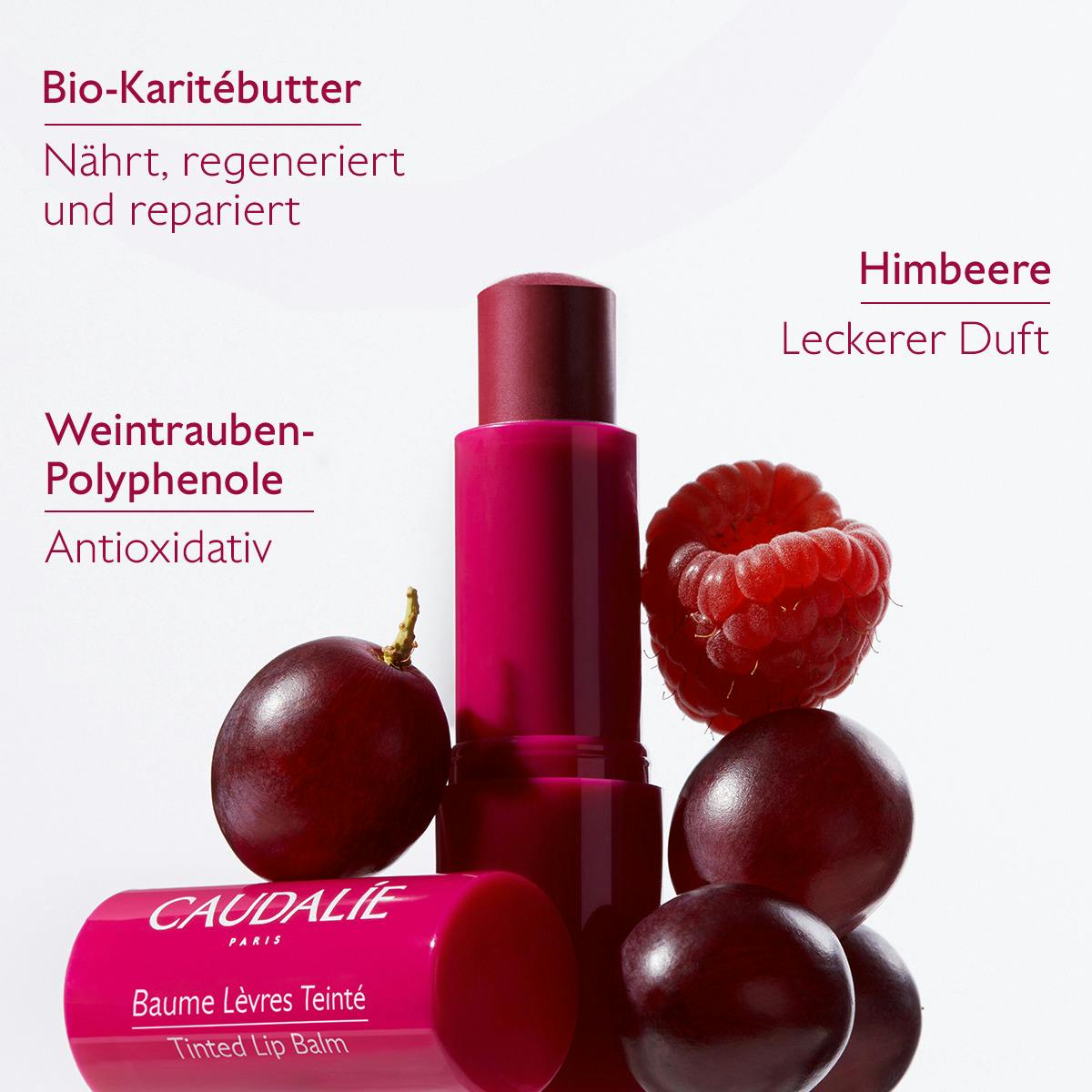 Caudalie - Getönter Lippenbalsam, 4,5g Caudalie - Getönter Lippenbalsam, 4,5g