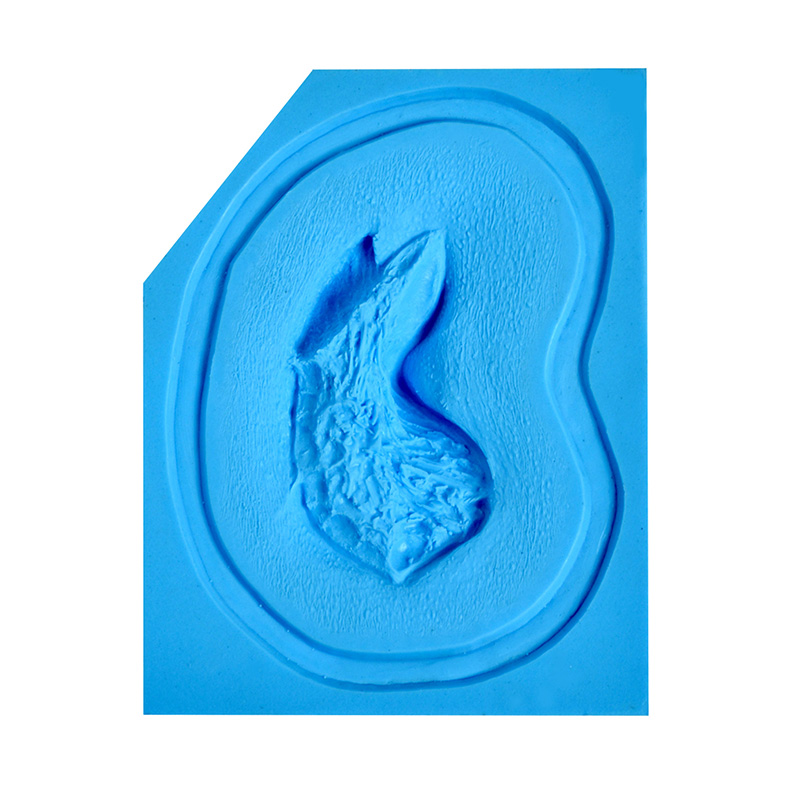 P.T.M - Silicone Mold - Avulsion LARGE P.T.M - Silicone Mold - Avulsion LARGE