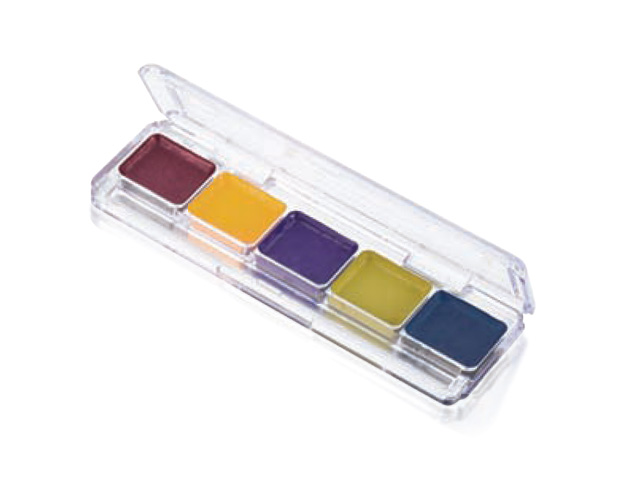 bn-aap0359786d64ee1bd Ben Nye - AAP03 Bruise FX Alkohol Palette 5 Farben